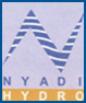 Nyadi Hydropower Limited